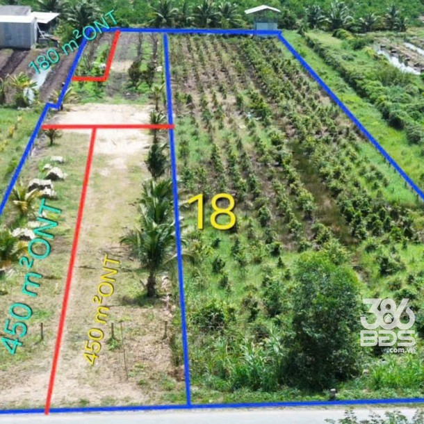 Bán đất mặt tiền tỉnh lộ 818 , xã Tân Thành, huyện Thủ Thừa dt 1926m2 ( có 1080m2 thổ ) giá 7,5 tỷ-1