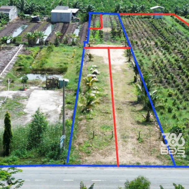 Bán đất mặt tiền tỉnh lộ 818 , xã Tân Thành, huyện Thủ Thừa dt 1926m2 ( có 1080m2 thổ ) giá 7,5 tỷ-3