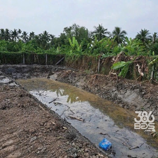 Bán đất thổ + vườn xã Phước Vân , Cần Đước tdt 959m2 ( có 319m2 thổ ) giá 3,3 tỷ-3