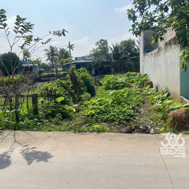 Bán đất thổ cư sau chợ Hòa Khánh Nam, đường beton 4m dt 100m2 giá 1 tỷ-2