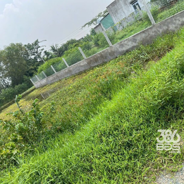 Bán 2 nền thổ cư đường đá xanh 7m , xã Hòa Khánh Tây dt 135m2 giá 700 triệu 1 lô-2