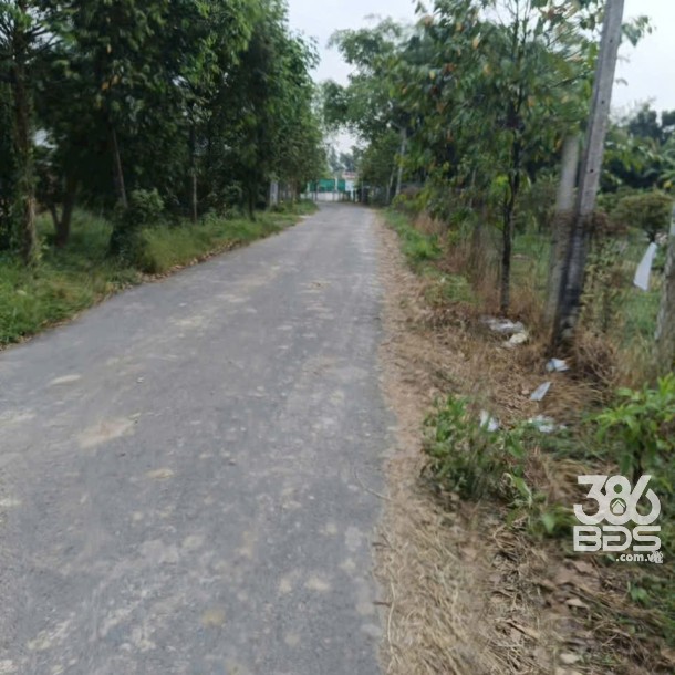 Bán đất thổ cư mặt tiền đường Xóm Tháp, xã Đức Lập Thượng dt 150m2 giá 1,45 tỷ-2