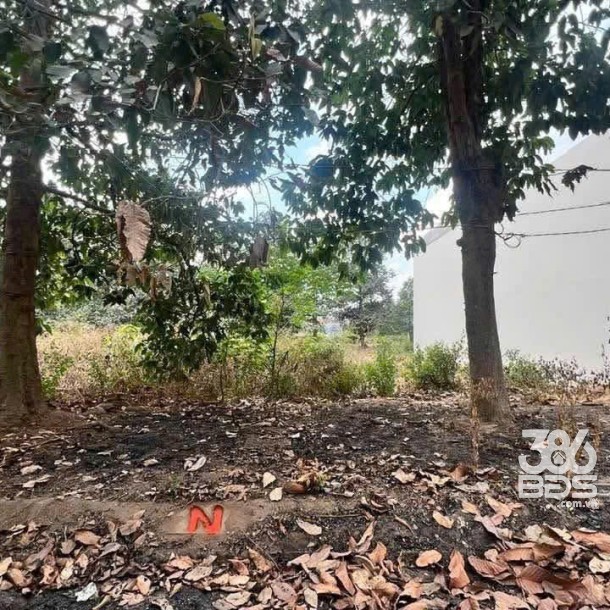 Bán nền thổ cư đường số 7, KDC 135 , thị trấn Bến Lức dt 144m2 giá giảm còn 3 tỷ-3