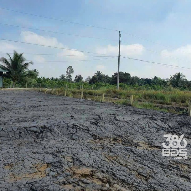 Bán đất thổ vườn Liên Ấp 5/6 , xã Bình Đức , Bến Lức tdt 1376m2 ( có 100m2 thổ) giá 2,65 tỷ-3