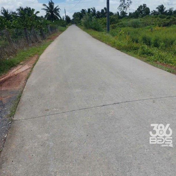 Bán đất thổ vườn Liên Ấp 5/6 , xã Bình Đức , Bến Lức tdt 1376m2 ( có 100m2 thổ) giá 2,65 tỷ-4