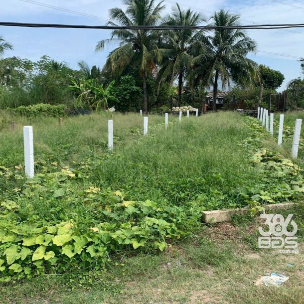 Bán nền thổ cư đường đá xanh 3,5m , xã Quê Mỹ Thạnh , Tân Trụ dt 123m2 giá 380 triệu-4