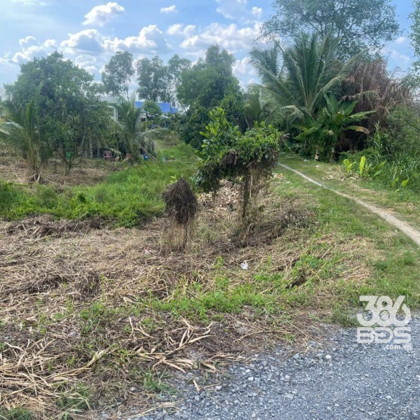 Bán đất mt sông Vàm Cỏ Đông , xã Thạnh Lợi tdt 2833m2 ( có 300m2 thổ ) giá 5,3 tỷ-4