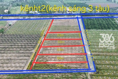 3 lô đất vườn cực đẹp tại xã Tân Thành, Thủ Thừa dt 1069m2 giá 800 triệu 1 lô