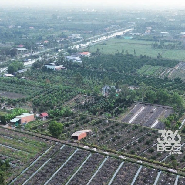 3 lô đất vườn cực đẹp tại xã Tân Thành, Thủ Thừa dt 1069m2 giá 800 triệu 1 lô-5