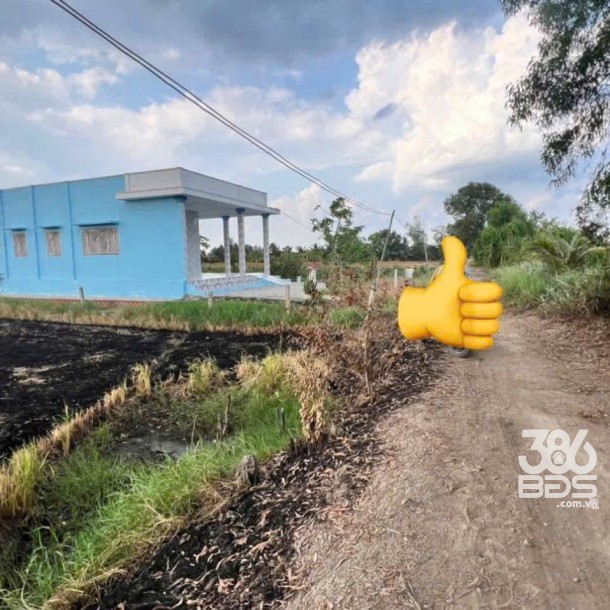 Bán đất thổ + lúa ấp 1 xã Tân Thành, Thủ Thừa tdt 1907m2 ( có 300m2 thổ ) giá 1,99 tỷ-5