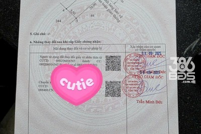 Bán đất thổ cư mt đường Nguyễn Thị Tầm , xã Bình Lãng , Tân Trụ dt 110m2 giá giảm còn 380tr