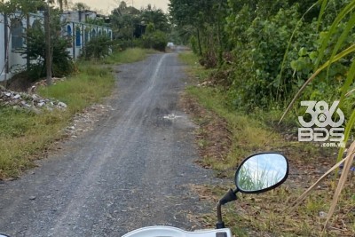 Bán đất vườn đường xe tải đá xanh xã Lương Hòa, Bến lức dt 8000m2 giá 15 tỷ