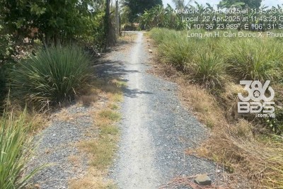 Bán đất thổ cư xã Phước Vân , Cần Đước dt 1825m2 đường xe máy giá 4,5 tỷ