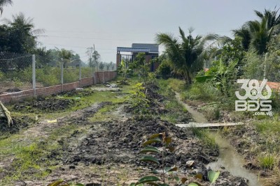 Bán nhà vườn đất lúa xã Hòa Khánh Tây dt 1000m2 giá 1,75 tỷ