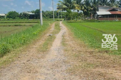 Bán đất lúa 2 mặt tiền xã Tân Phú, Đức Hòa tdt 680m2 giá 700 triệu