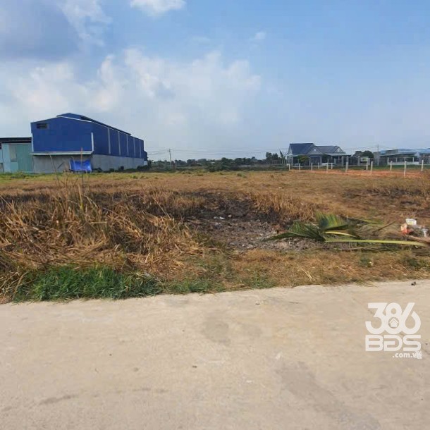 Bán đất thổ cư đường beton xe hơi ở xã Đức Hòa Đông , Đức Hòa dt 303m2 giá 1,6 tỷ-2