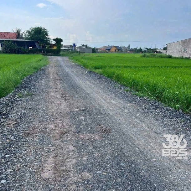 Bán 2 nền thổ cư liền kề xã Hòa Khánh Đông , Đức Hòa dt 160m2 giá 800 triệu 1 nền-1