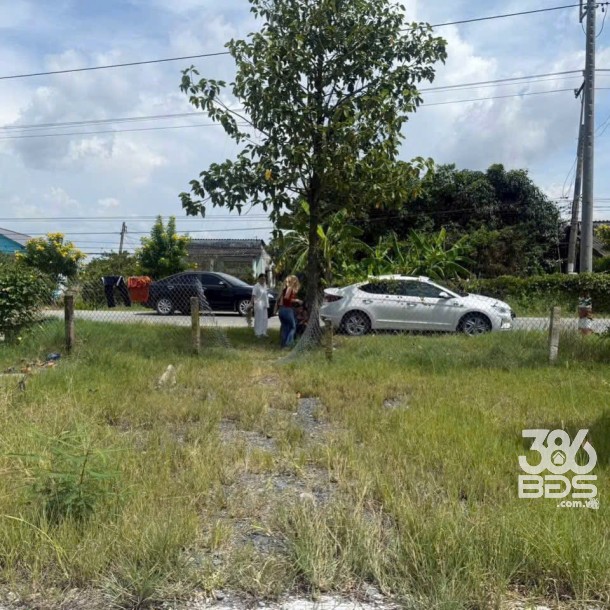 Bán đất mặt tiền ĐT 832 , xã Nhựt Ninh, Tân Trụ tdt 4000m2 ( 500m2 thổ ) giá 6,5 tỷ-4