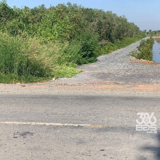 Bán đất mặt tiền quốc lộ N2 , xã Thạnh Lợi , Bến Lức tdt 22,870m2 ( đất rừng sản xuất ) giá 34 tỷ-3