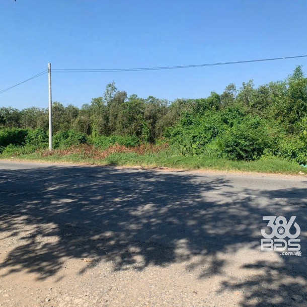 Bán đất mặt tiền quốc lộ N2 , xã Thạnh Lợi , Bến Lức tdt 22,870m2 ( đất rừng sản xuất ) giá 34 tỷ-5
