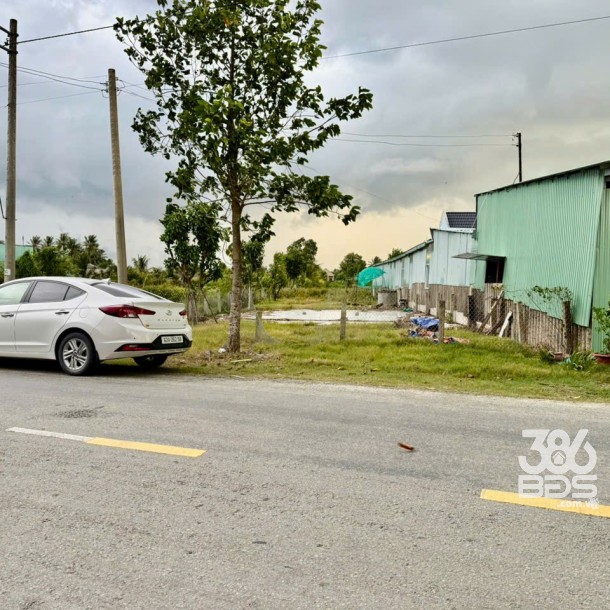 Bán đất mặt tiền ĐT 832 , xã Nhựt Ninh, Tân Trụ tdt 4000m2 ( 500m2 thổ ) giá 6,5 tỷ-5