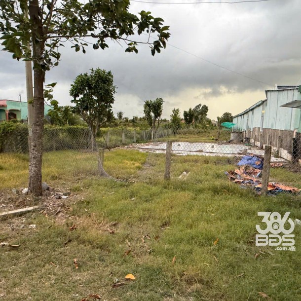 Bán đất mặt tiền ĐT 832 , xã Nhựt Ninh, Tân Trụ tdt 4000m2 ( 500m2 thổ ) giá 6,5 tỷ-6