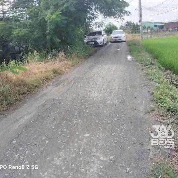 Bán đất thổ cư đường beton xã Tân Lân , Cần Đước dt 1000m2 3,699 tỷ-1