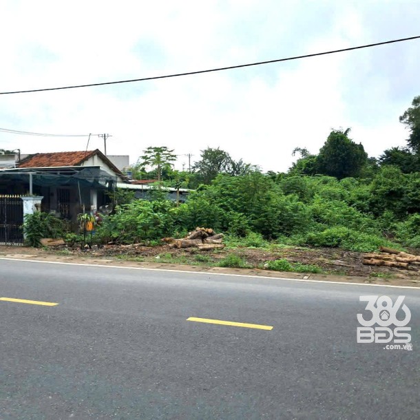 Bán đất mt đường Nguyễn Thị Nê , Phú Hòa Đông tdt 851m2 ( 300m2 thổ cư ) giá giảm còn 6,5 tỷ-1