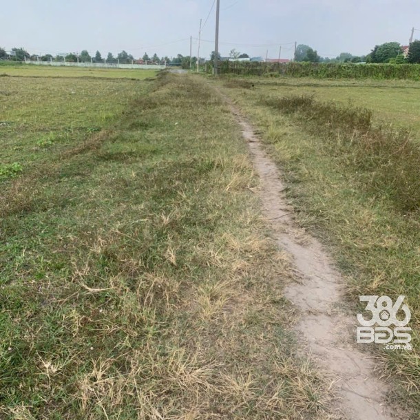 Bán lô đất Mỹ Hạnh Bắc tdt 1240m2 ( 300m2 thổ ) thích hợp phân lô , xây nhà vườn giá 4 tỷ-1