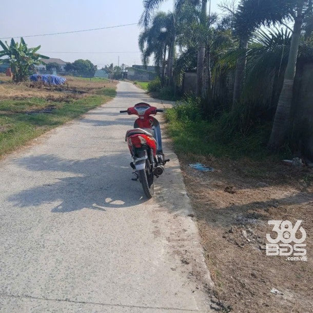 Bán nhà vườn nhỏ xinh ở Nhựt Chánh , Bến Lức tdt 900m2 ( 115m2 thổ) giá 2,2 tỷ-1