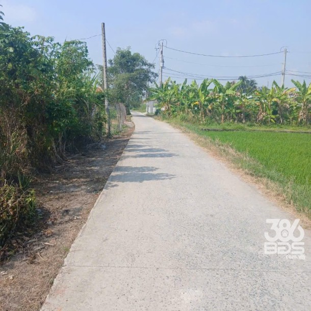 Bán nhà vườn nhỏ xinh ở Nhựt Chánh , Bến Lức tdt 900m2 ( 115m2 thổ) giá 2,2 tỷ-3