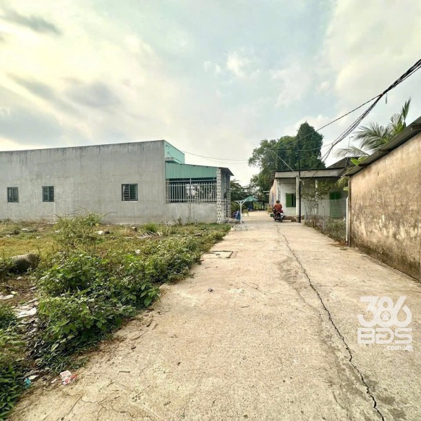 Bán đất thổ cư đường beton xe oto Long Định , Cần Đước dt 116,5m2 giá giảm còn 800 triệu-3