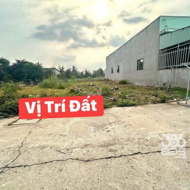 Bán đất thổ cư đường beton xe oto Long Định , Cần Đước dt 116,5m2 giá giảm còn 800 triệu-4