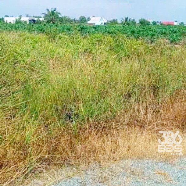 Bán đất vườn đường đá xanh oto xã Thạnh Hòa , Bến Lức dt 1000m2 giá 680 triệu-1