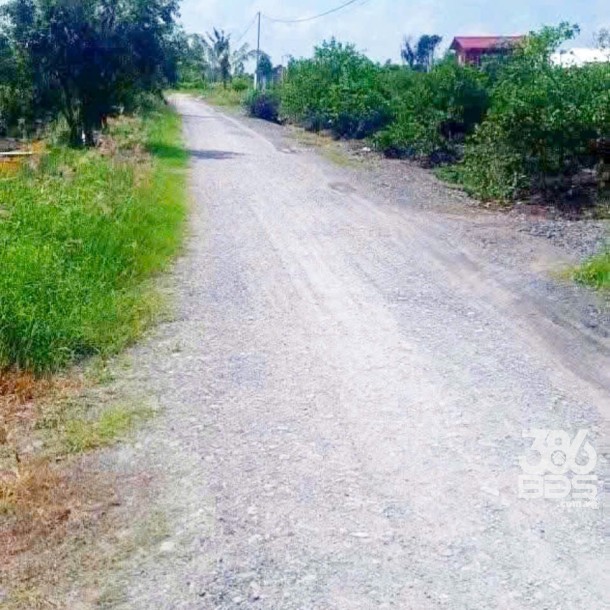 Bán đất vườn đường đá xanh oto xã Thạnh Hòa , Bến Lức dt 1000m2 giá 680 triệu-3