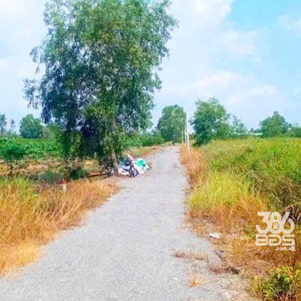 Bán đất vườn đường đá xanh oto xã Thạnh Hòa , Bến Lức dt 1000m2 giá 680 triệu-4