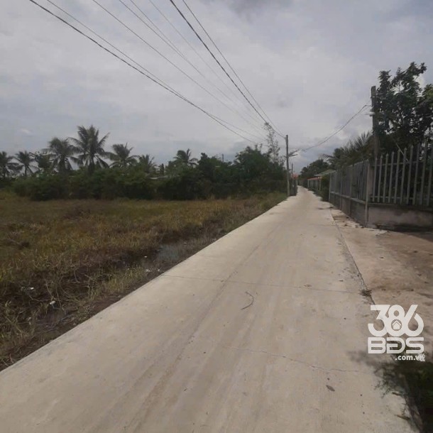 Bán đất xã Tân Trạch , Cần Đước tdt 1085m2 ( 239m2 thổ cư) thích hợp xây biệt thự, nhà vườn giá 2,45 tỷ-2