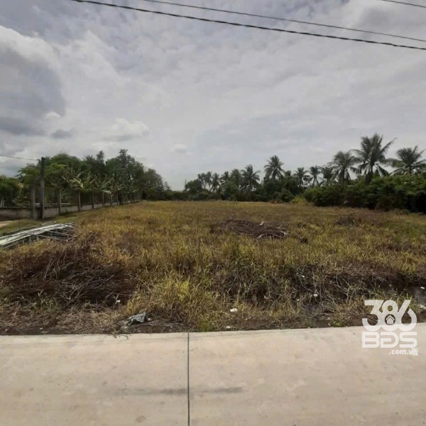 Bán đất xã Tân Trạch , Cần Đước tdt 1085m2 ( 239m2 thổ cư) thích hợp xây biệt thự, nhà vườn giá 2,45 tỷ-4