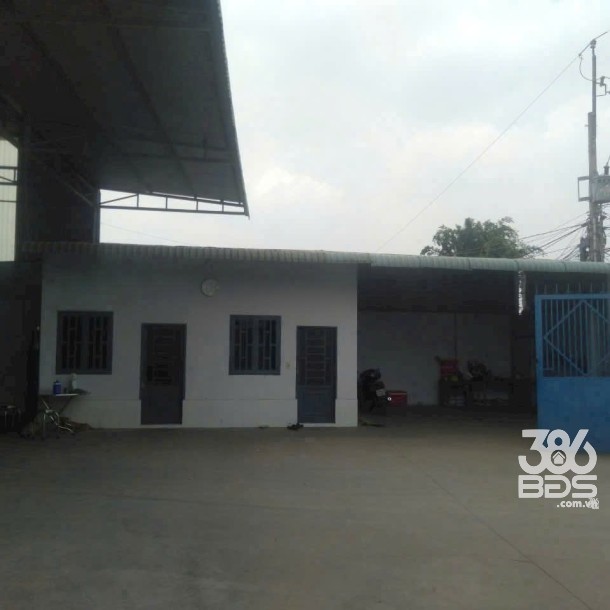 Bán nhà xưởng mt đường Mỹ Yên- Tân Bửu dt 1570m2 SKC giá 33 tỷ-2