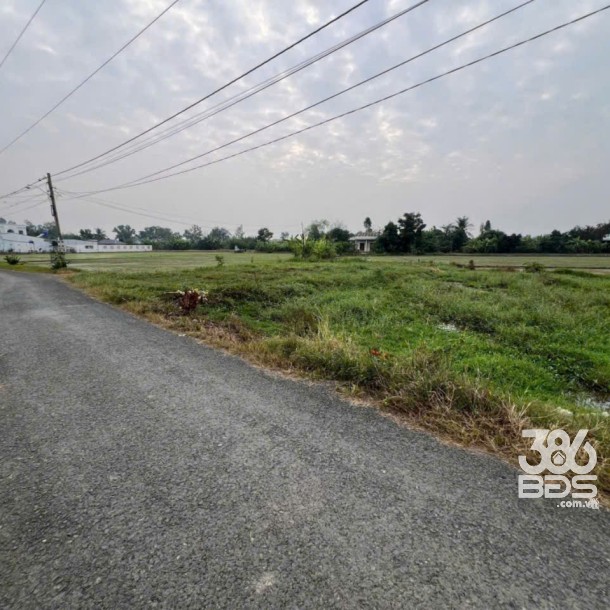 Bán đất thổ cư 2 mt đường Nguyễn Văn Dư , xã Bình lãng , Tân Trụ dt 450m2 giá 2,39 tỷ-3