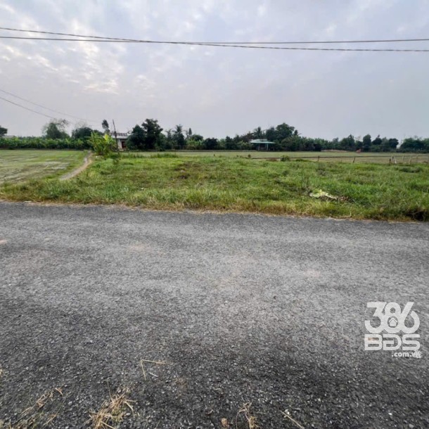 Bán đất thổ cư 2 mt đường Nguyễn Văn Dư , xã Bình lãng , Tân Trụ dt 450m2 giá 2,39 tỷ-5