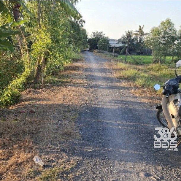 Bán đất xã Tân Phú , Đức Hòa tdt 10.075m2 ( 300m2 thổ ) đường đá xanh 7m giá 5,5 tỷ-2