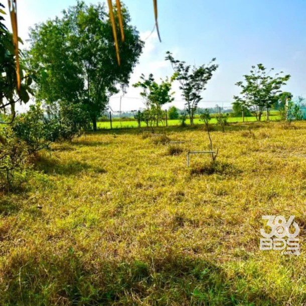 Bán gấp lô đất xã Hiệp Hòa tdt 6500m2 ( 300m2 thổ ) đường đá xanh 5m giá 5,5 tỷ-5