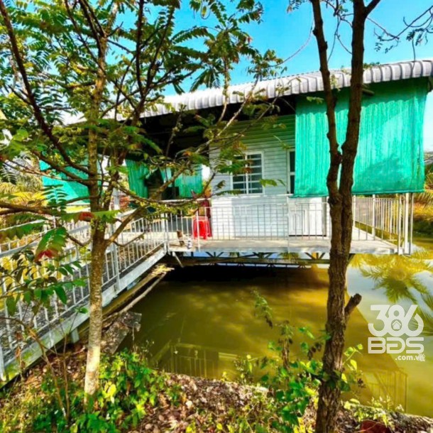 Bán gấp lô đất xã Hiệp Hòa tdt 6500m2 ( 300m2 thổ ) đường đá xanh 5m giá 5,5 tỷ-8