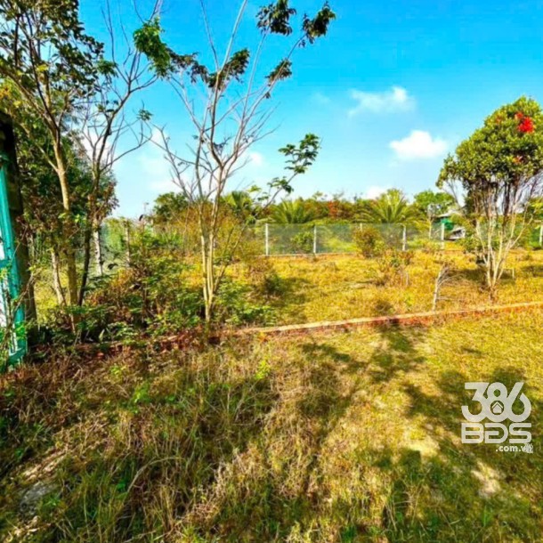 Bán gấp lô đất xã Hiệp Hòa tdt 6500m2 ( 300m2 thổ ) đường đá xanh 5m giá 5,5 tỷ-10