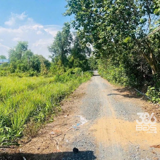 Bán đất vườn có tường rào bao quanh view kênh ở xã Bình Đức , Bến Lức dt 500m2 giá 950 triệu-2