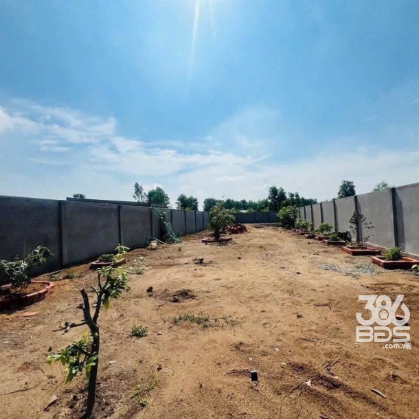 Bán đất vườn có tường rào bao quanh view kênh ở xã Bình Đức , Bến Lức dt 500m2 giá 950 triệu-3