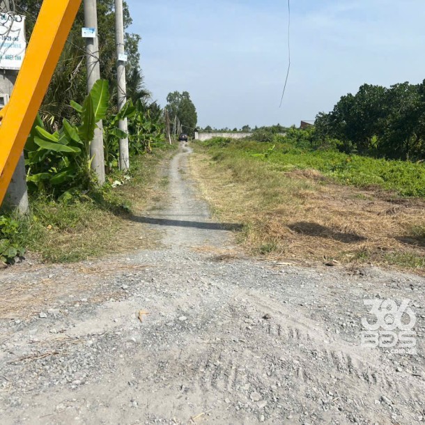 Bán đất vườn có tường rào bao quanh view kênh ở xã Bình Đức , Bến Lức dt 500m2 giá 950 triệu-5