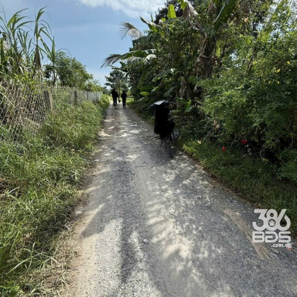 Bán đất thổ cư Đức Hòa Thượng , dt 153m2 , đường đá xanh 4m giá 870 triệu-2