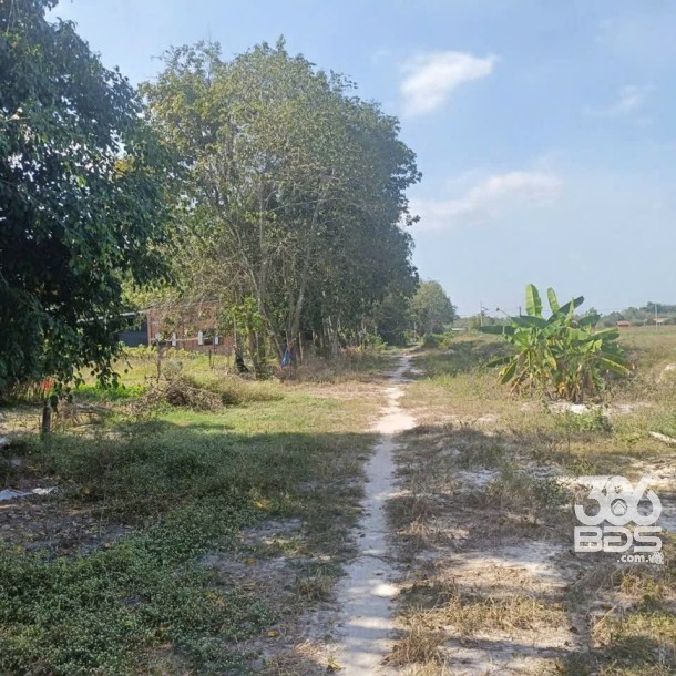 Bán đất xã Phú Mỹ Hưng , huyện Củ Chi tổng dt 1200m2 ( 300m2 thổ cư ) giá 2,5 tỷ-2